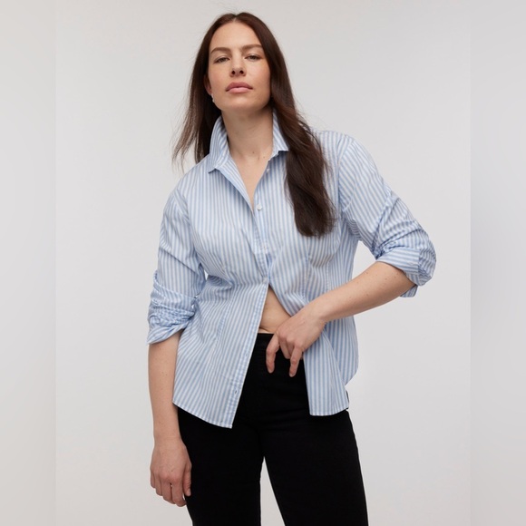 Madewell Darted Long-Sleeve Button-Up Shirt NP043 Sz 4 Powder Blue Striped NWT - Picture 3 of 7